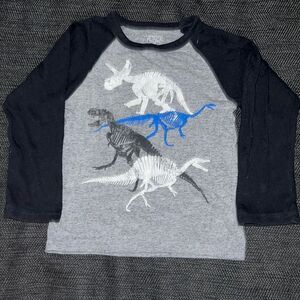 Dinosaur long sleeve t shirt gray black blue white